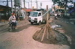 Trồng cây giữa… đường