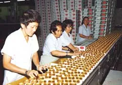 Chạy đua sản xuất... bia!