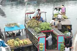 Từ sông về biển