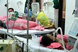 Virus H5N1 biến thể khiến số người nhiễm bệnh tăng cao