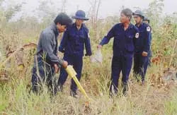 Nghĩa tình đồng đội