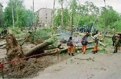 Bão lớn và cháy rừng