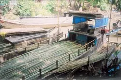 Xóm thúng ven sông ảnh 2