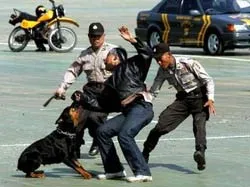 Bắt giữ 24 đối tượng khủng bố