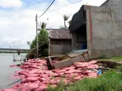 Lại sạt lở tại khu vực sông Mương Chuối