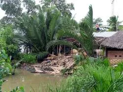 Lại sạt lở tại khu vực sông Mương Chuối ảnh 2