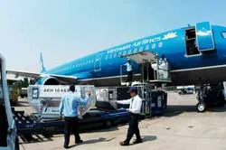 Hành khách an toàn và được bồi thường thiệt hại