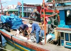 Làng săn cá mập ảnh 2