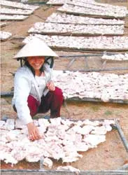 Làng săn cá mập