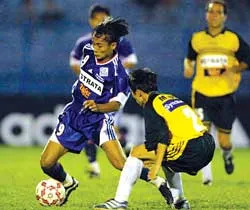 Cái đầu gối của Thanh Phương ảnh 1