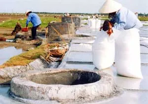 Muối sạch - vui nhiều... ảnh 2