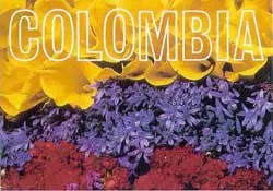 Việt Nam kết thúc đàm phán gia nhập WTO với Colombia