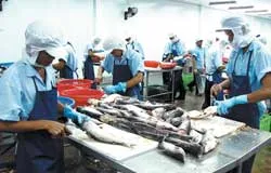 Để đối phó với các vụ kiện chống bán phá giá