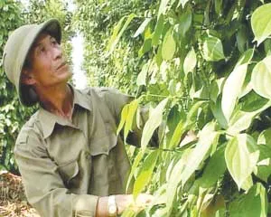 Neo nước giữ rừng