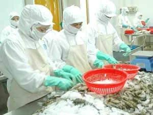 Bảy bài học rút ra từ Seaprodex