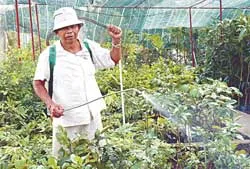 Nông dân chịu giá cao vô lý