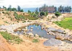 Bài 1: Lấn biển, nuốt rừng