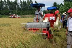 MGĐ-120: Giải pháp giải quyết thiếu lao động thu hoạch lúa