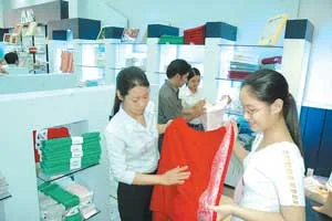 Phong Phú Corporation và những đóa hồng Mollis