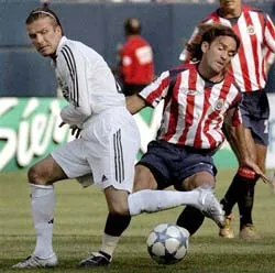 Tìm kiếm làn gió mới ảnh 1