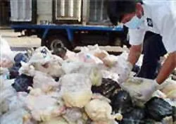 Cứt trâu hóa bùn