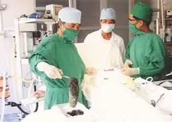 Bó tóc 1,1kg nằm trong bụng bệnh nhân