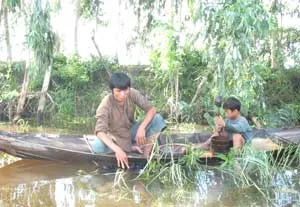 3 bộ phim Việt Nam tham dự LHP châu Á – Thái Bình Dương lần thứ 50