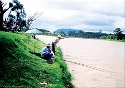 Câu cá ở hồ Xuân Hương ảnh 2