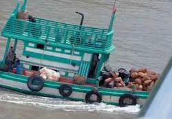 Chưa có hồi kết