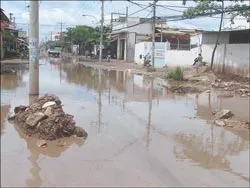 Đào đường nhưng không tái lập