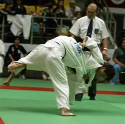 Ấn tượng Văn Ngọc Tú ảnh 1