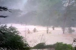 Đã có thiệt hại về người