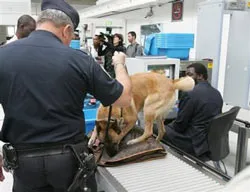 Tăng gấp 3 lần số lượng camera an ninh