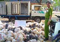 Có lý nhưng không phù hợp thực tế