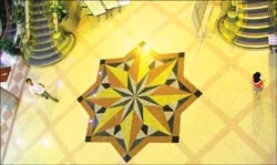 Theo những bước chân ảnh 3