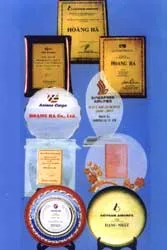 Dệt mộng trên vỉa hè