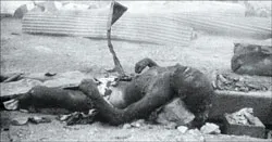 Tại sao Mỹ quyết định thả bom nguyên tử xuống Nhật? ảnh 2