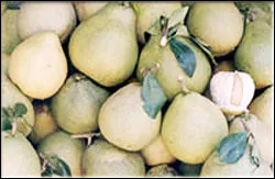 Xây dựng và bảo vệ thương hiệu ở ĐBSCL