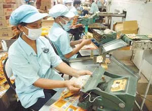 Giải pháp tích cực cho cây cà phê