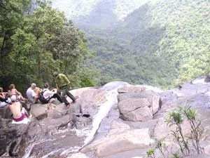 Người gọi chim giữa đại ngàn Bạch Mã ảnh 2