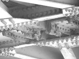 Báo động đỏ! ảnh 2