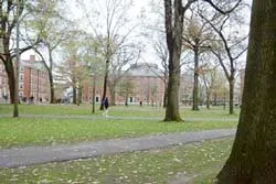 Có thêm nhiều quan chức Trung Quốc sang Harvard học