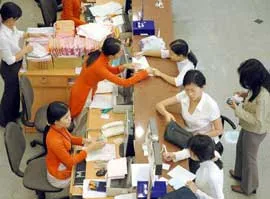 Hỗ trợ nông dân và doanh nghiệp mía đường