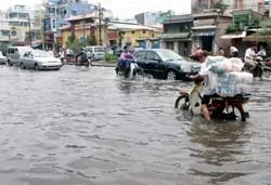 Có thể bị truy cứu trách nhiệm hình sự