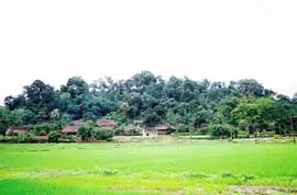 60 năm ấy ai quên... ảnh 2