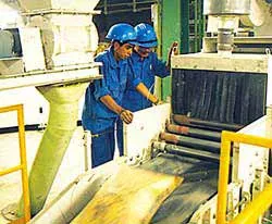 Xây dựng thêm nhà máy xi măng ở Đồng bằng sông Hồng