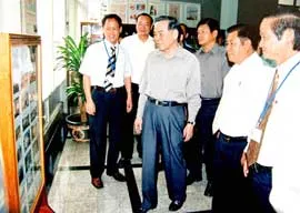 Phải chặn đứng nạn phá rừng, triệt phá các ổ nhóm lâm tặc