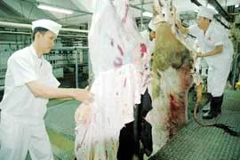 8 tháng, nộp ngân sách 32 tỷ đồng