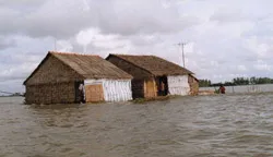 Thiệt hại ngày càng nhiều