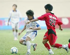 Sẽ có giải U19 năm 2006 ? ảnh 1